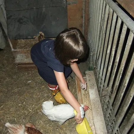 Waldschoenau Vakantieboerderij *