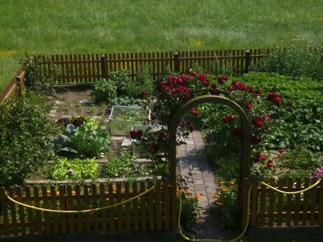 Farm stay Waldschonau Kirchbichl