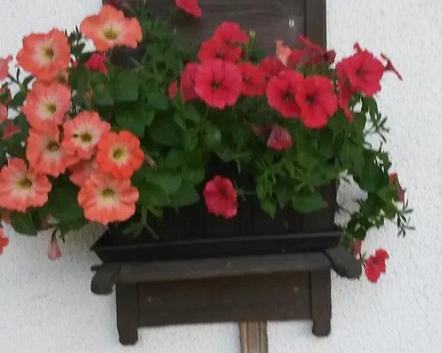 Farm stay Waldschonau *