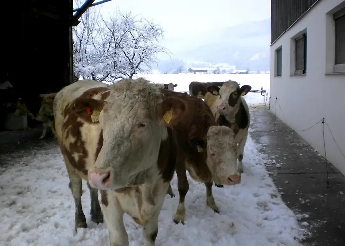 Waldschoenau * Kirchbichl