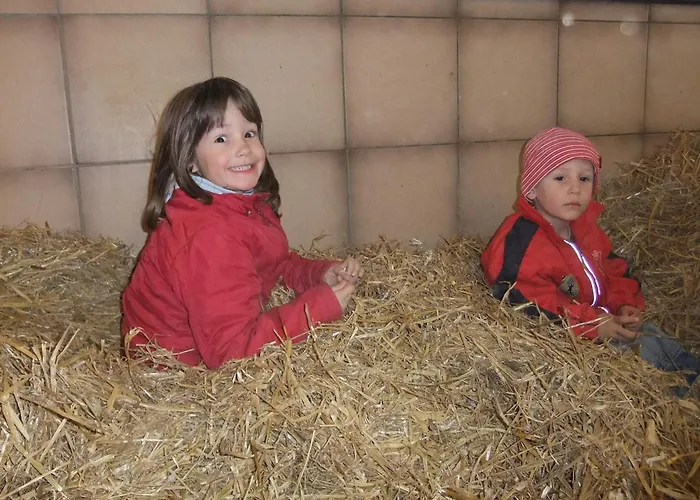 Waldschonau Kirchbichl