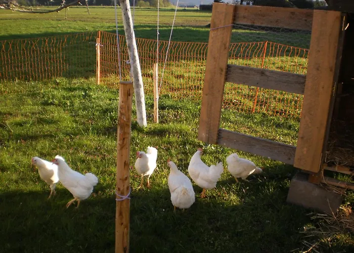 Waldschonau Farm stay