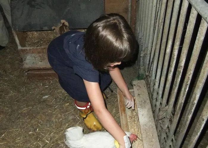 Waldschonau Farm stay *