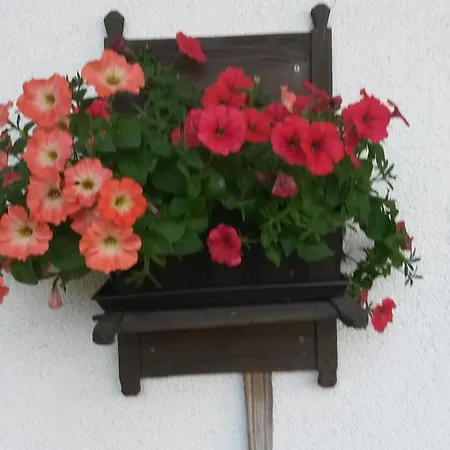 Farmház Waldschoenau *