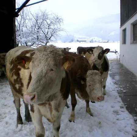 Waldschoenau * Kirchbichl