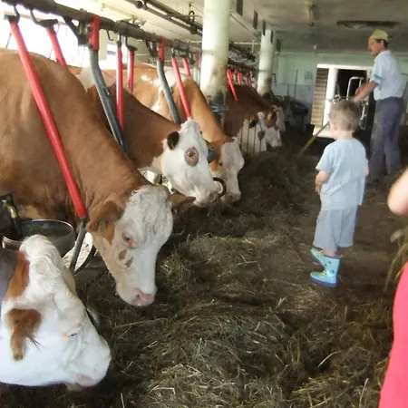 Waldschoenau * Kirchbichl