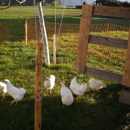 Waldschoenau Farmház