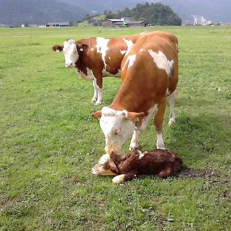 Farmház Waldschoenau Kirchbichl